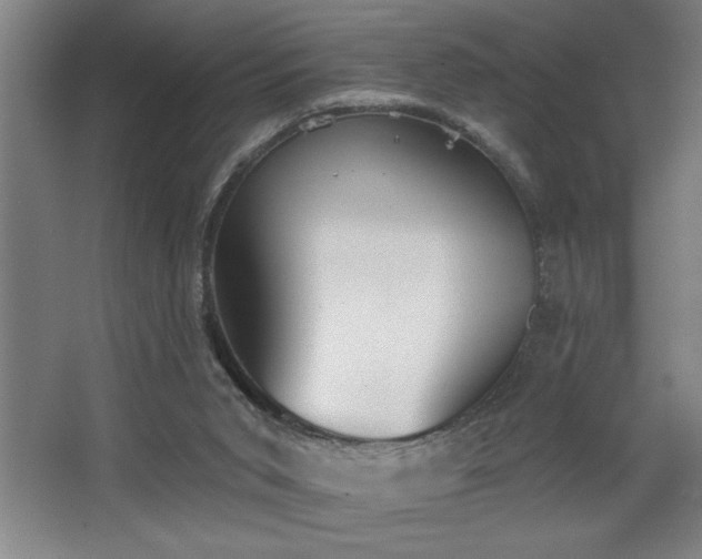 X0000068720015200605010945