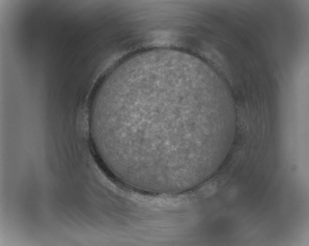 X0000068720016200605010945