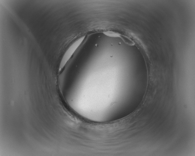 X0000068720017200605010945