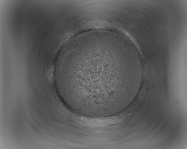 X0000068720018200605010945