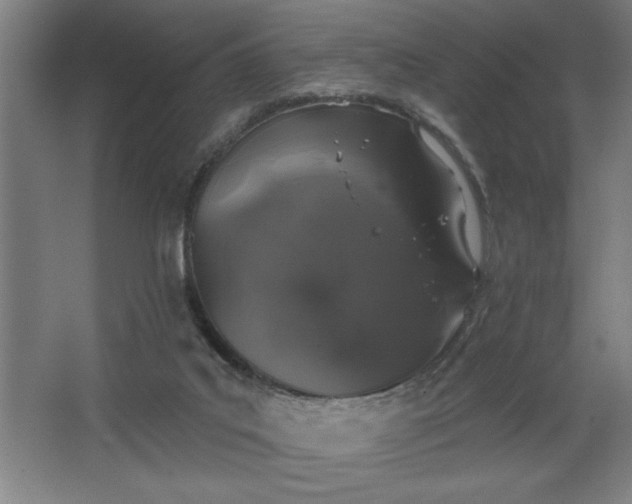 X0000068720019200605010945