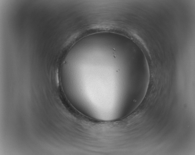 X0000068720020200605010945