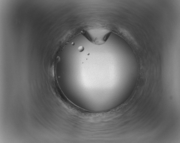 X0000068720021200605010945