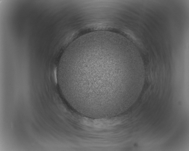 X0000068720022200605010945