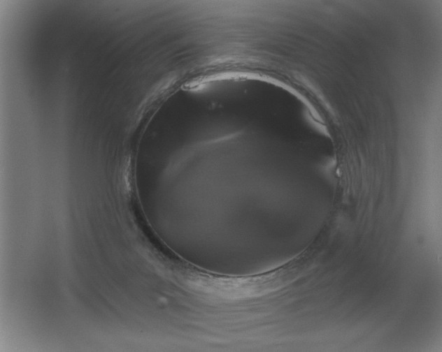 X0000068720023200605010945