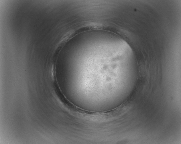 X0000068720024200605010945