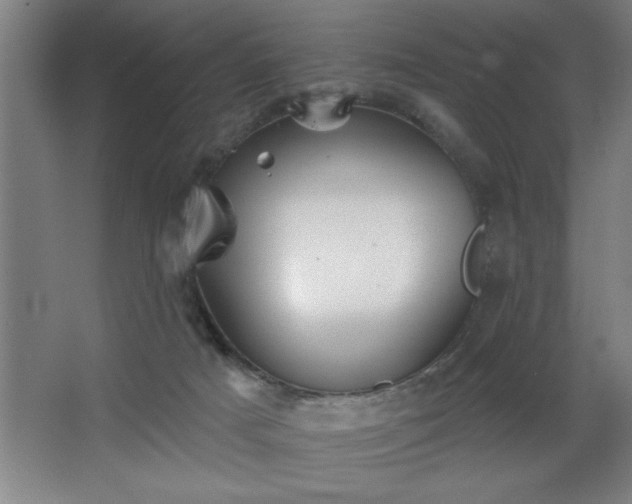 X0000068720025200605010945