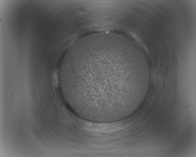 X0000068720026200605010945