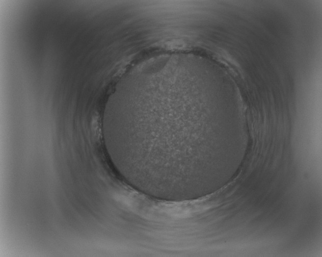 X0000068720029200605010945