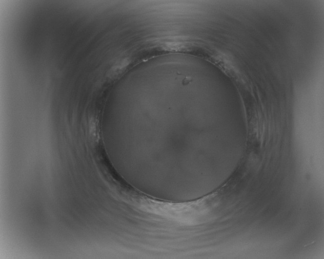 X0000068720031200605010945