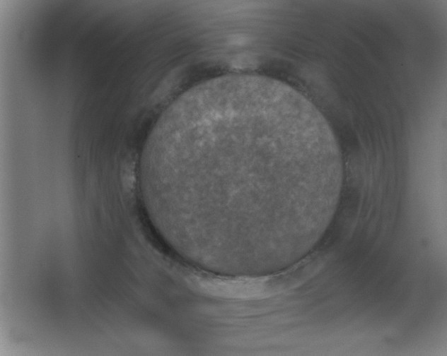 X0000068720032200605010945