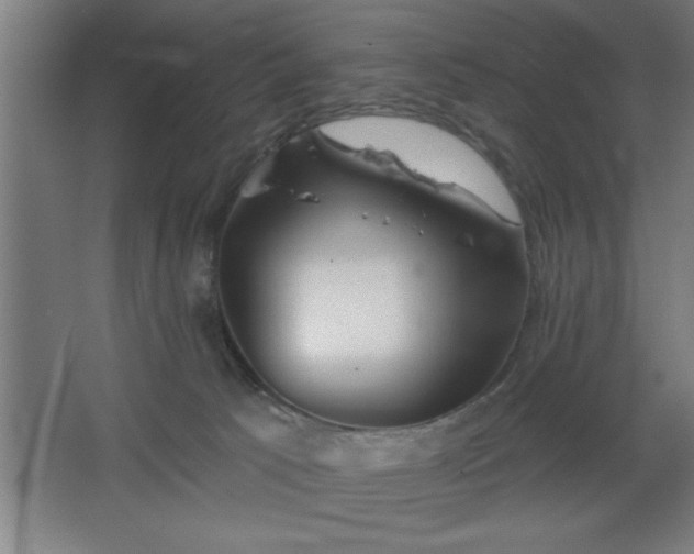 X0000068720033200605010945