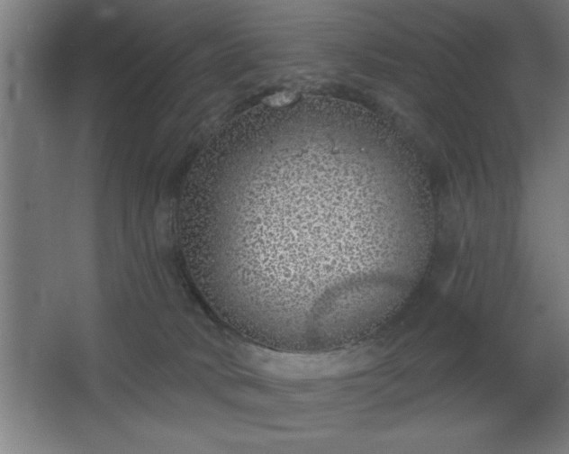 X0000068720034200605010945