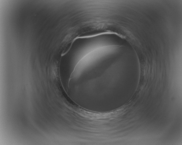 X0000068720035200605010945