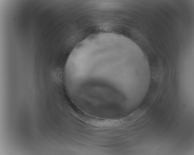 X0000068720036200605010945