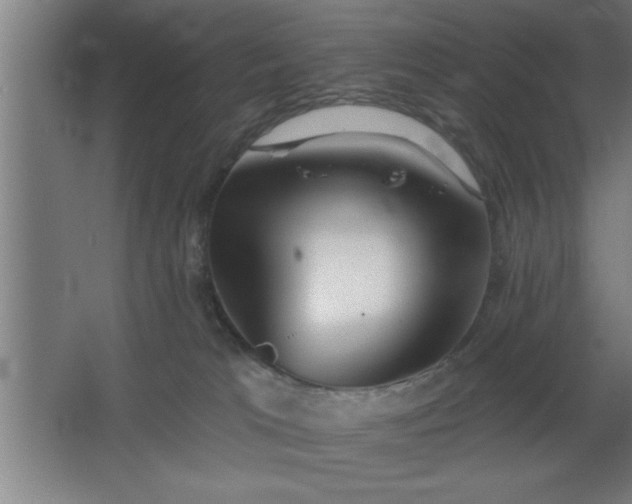 X0000068720037200605010945