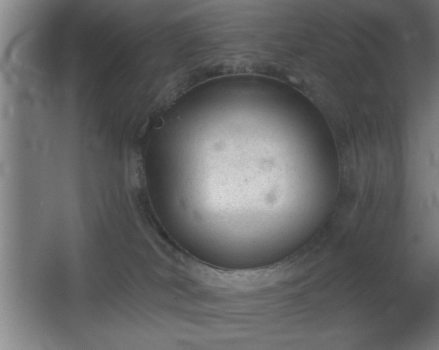 X0000068720038200605010945