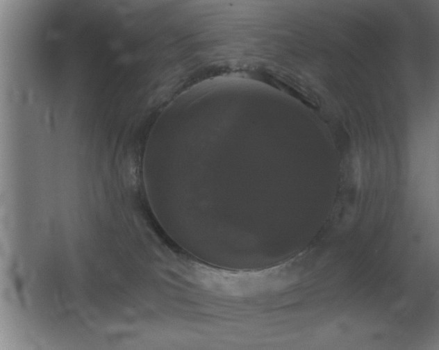 X0000068720039200605010945