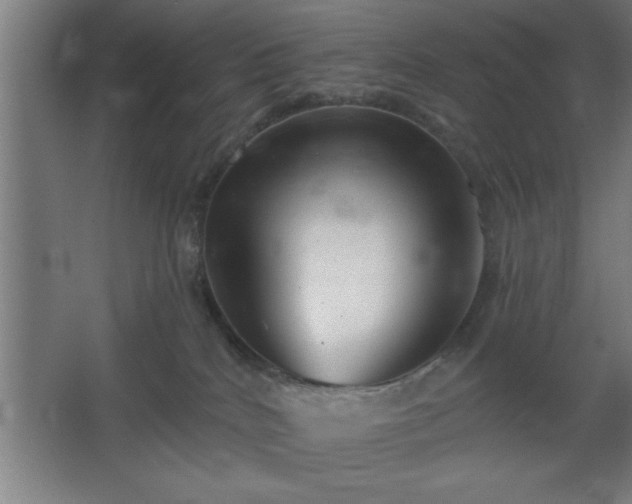 X0000068720040200605010945