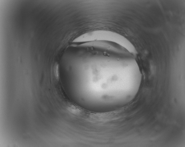 X0000068720041200605010945