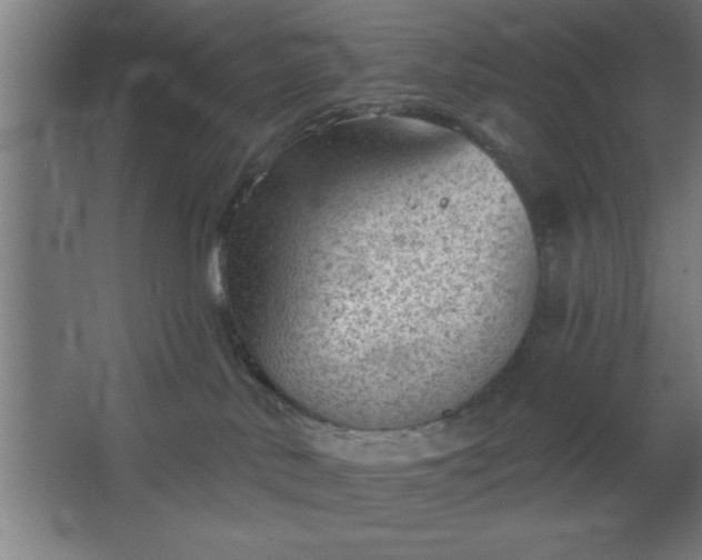 X0000068720042200605010945