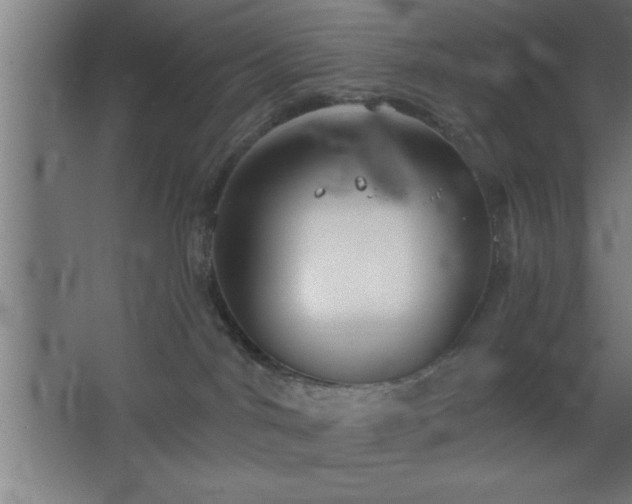 X0000068720044200605010945