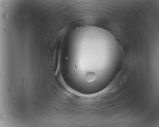 X0000068720045200605010945