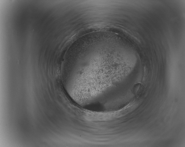 X0000068720048200605010945