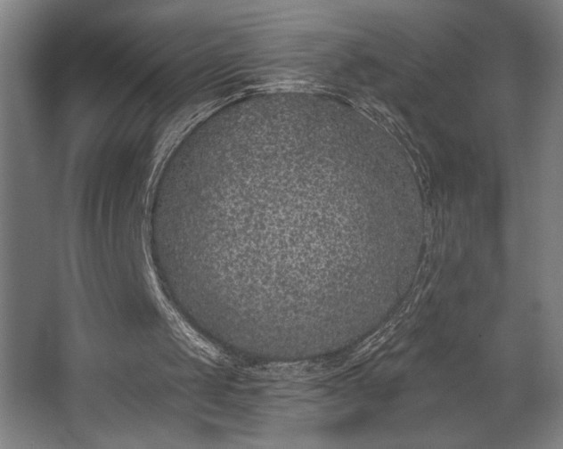 X0000068720049200605010944