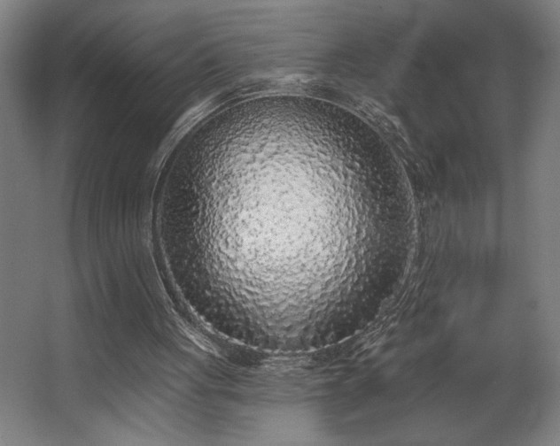 X0000068720051200605010944