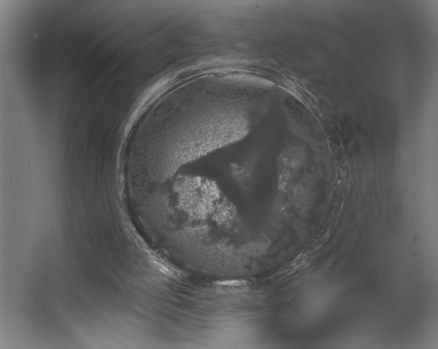 X0000068720053200605010944