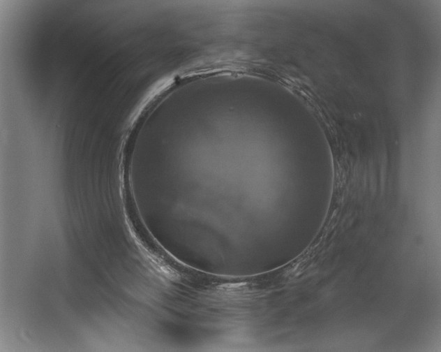 X0000068720054200605010944