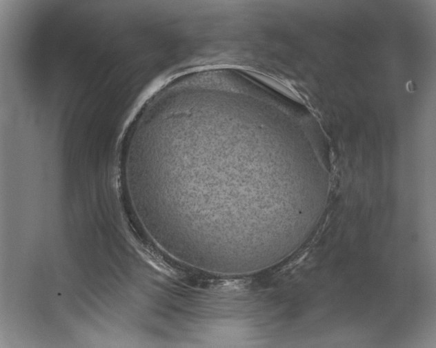 X0000068720056200605010944