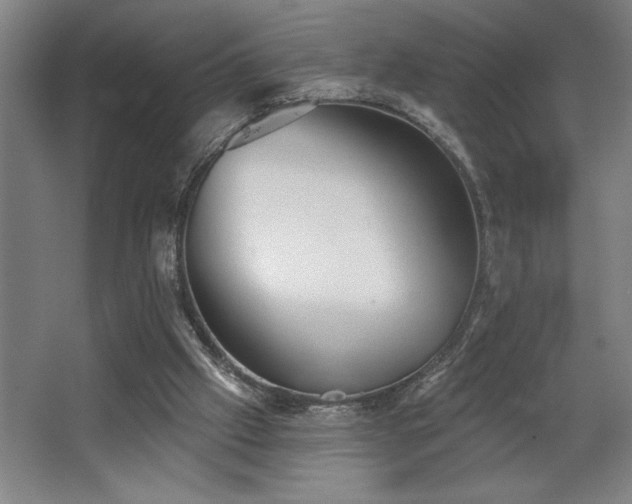 X0000068720057200605010944