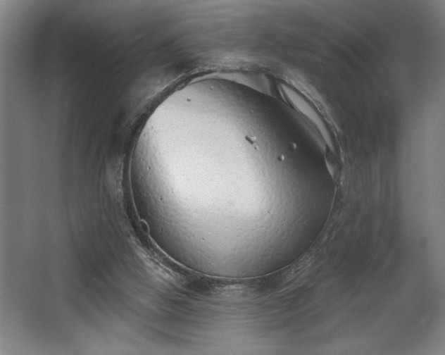 X0000068720058200605010944