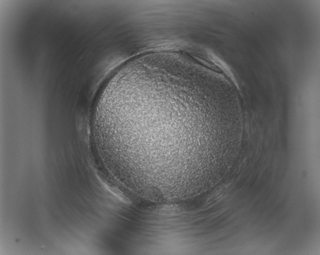 X0000068720059200605010944