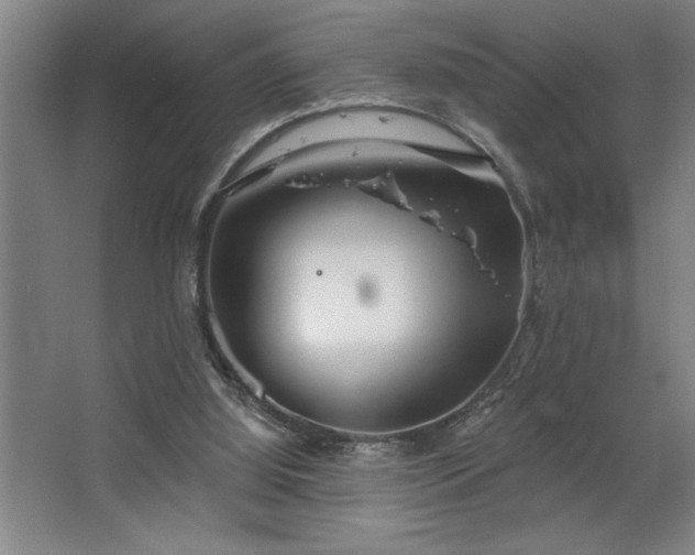 X0000068720060200605010944