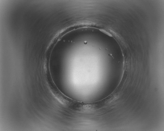 X0000068720064200605010944