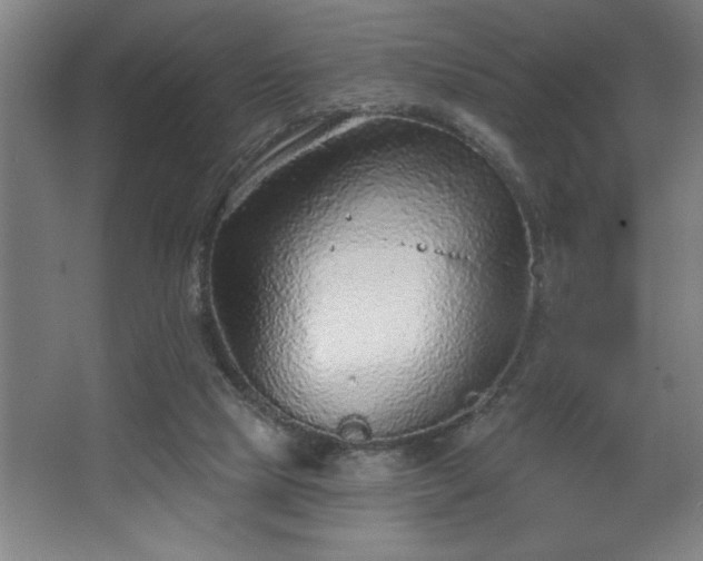 X0000068720065200605010944