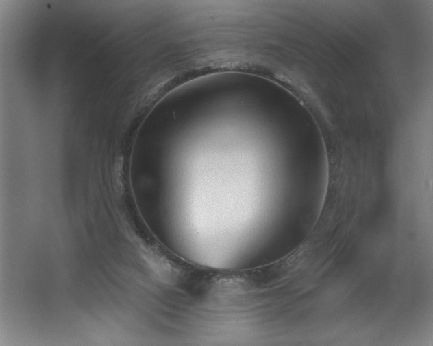 X0000068720066200605010944