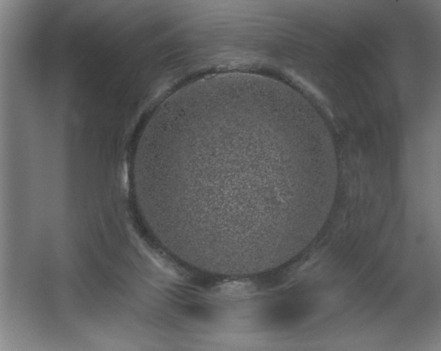 X0000068720067200605010944