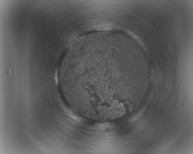 X0000068720069200605010944