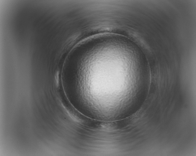 X0000068720070200605010944