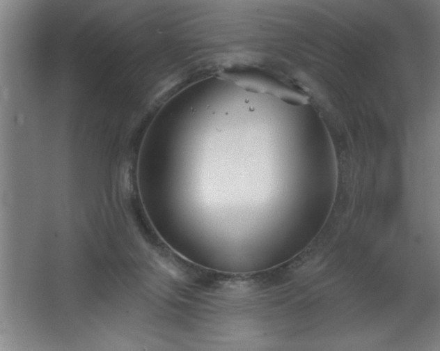 X0000068720071200605010944