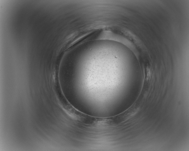 X0000068720072200605010944