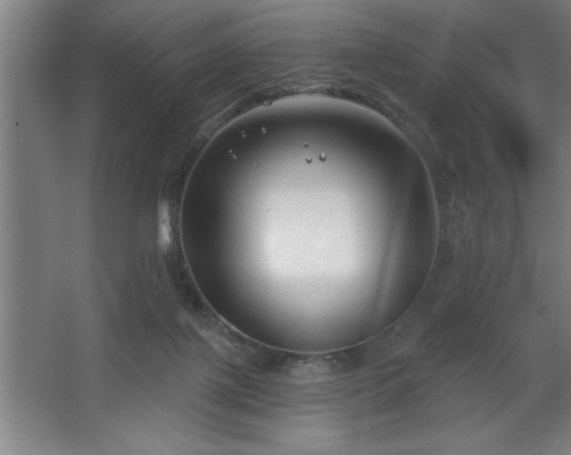 X0000068720075200605010944