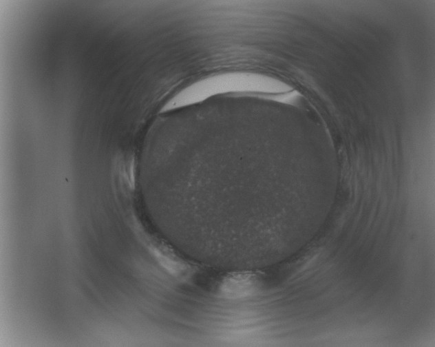 X0000068720076200605010944