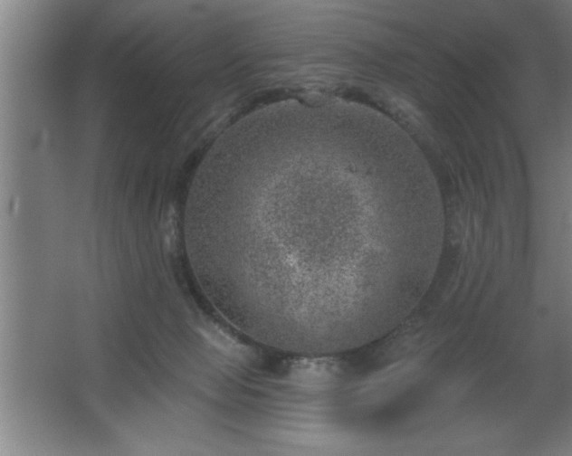 X0000068720077200605010944