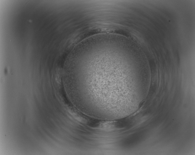 X0000068720078200605010944