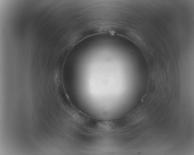 X0000068720079200605010944